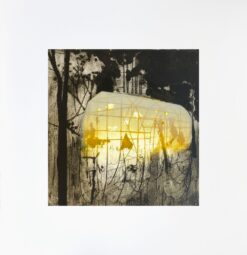 Luminous print of a glasshouse in a landscape from an early period of works by Katherine Jones. Propagation of Sound, 2014, Collagraph and Block Print, 58.5 x 56 cm